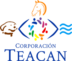 Corporación Teacanchile